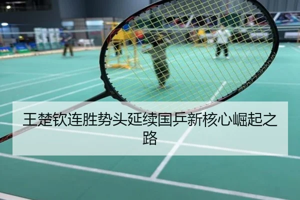 王楚钦连胜势头延续国乒新核心崛起之路