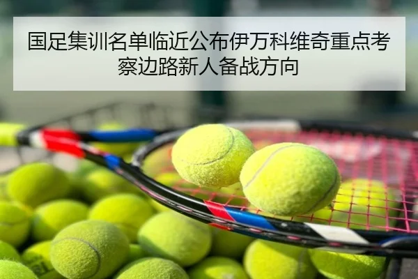 国足集训名单临近公布伊万科维奇重点考察边路新人备战方向