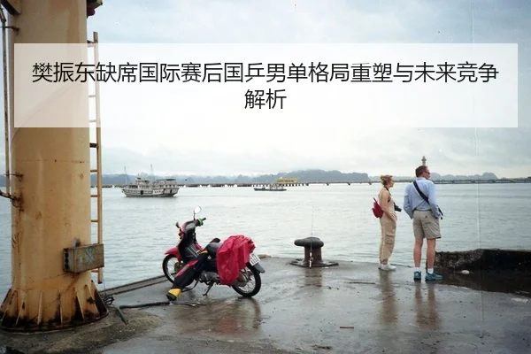 樊振东缺席国际赛后国乒男单格局重塑与未来竞争解析